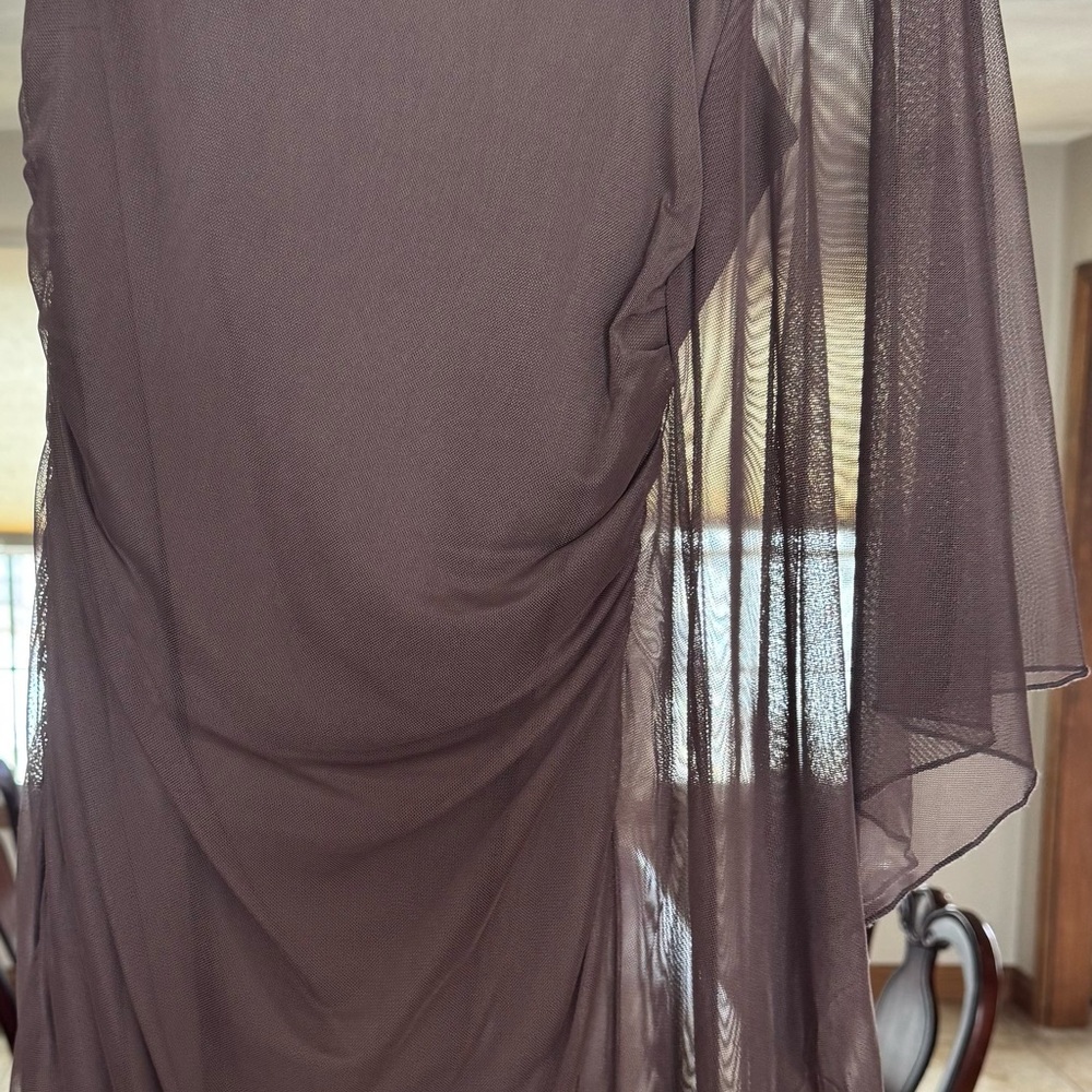 Elegant Sheer Brown Dress